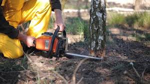 Best Lawn Irrigation Installation and Maintenance  in Loma Linda, CA