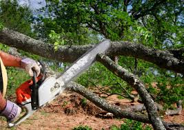 Best Soil Testing and Treatment  in Loma Linda, CA
